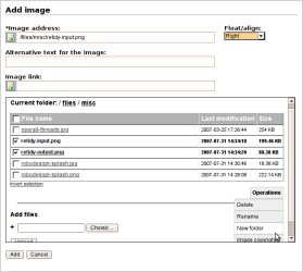 Inserting an image into an article